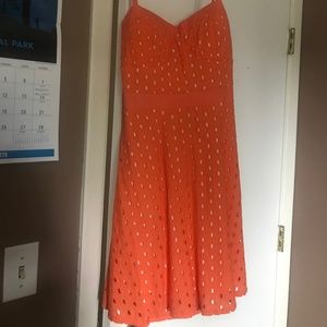 Marineblu Open Back Mini Dress